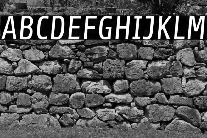 Share Italic Font examples