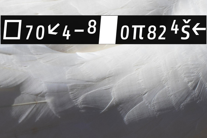 Share-ItalicExp Example 1