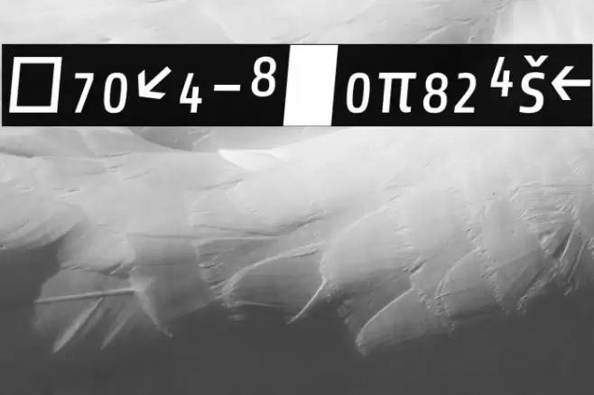 Share-ItalicExp Font examples