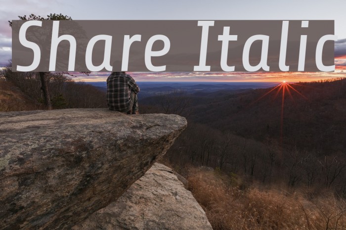 Share Italic Font examples
