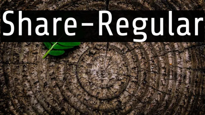 Share-Regular Example 2