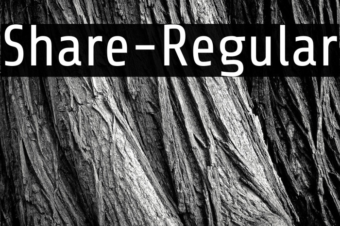 Share-Regular Example 3