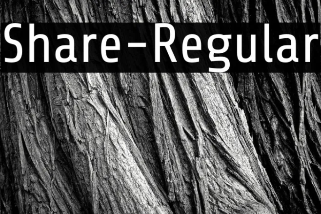 Share-Regular Example 3