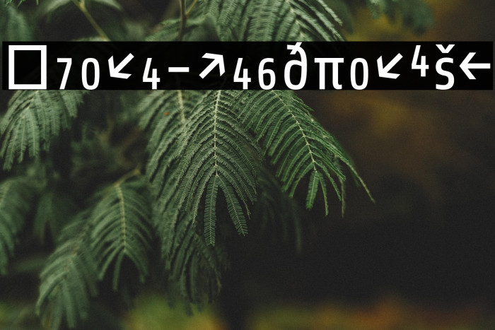 Share-RegularExp Example 1