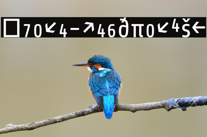 Share-RegularExp Example 2