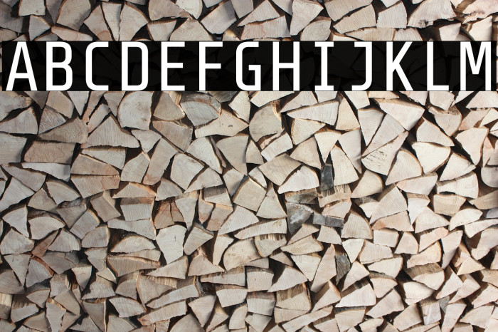 Share Tech Mono Font examples