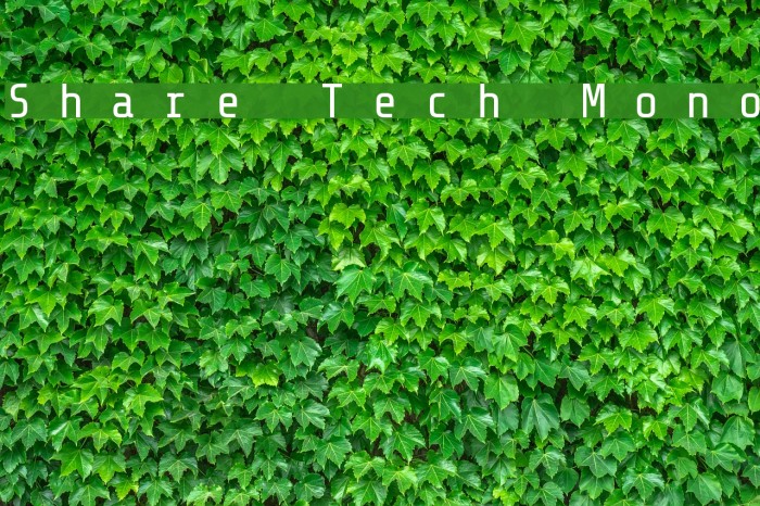 Share Tech Mono Font examples