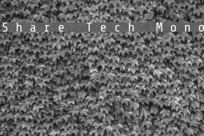 Share Tech Mono Font examples
