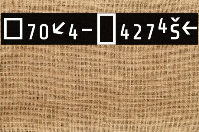 Share-TechExp Example 3