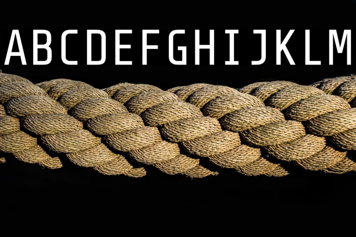 Share-TechMono Example 1