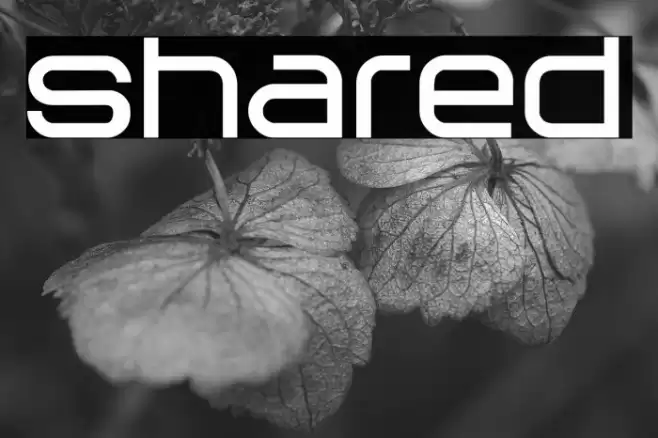 Shared Schriftart examples