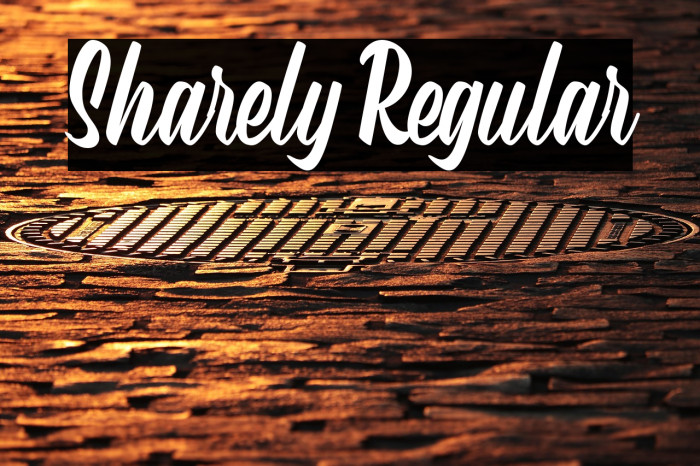 Sharely Regular Example 2