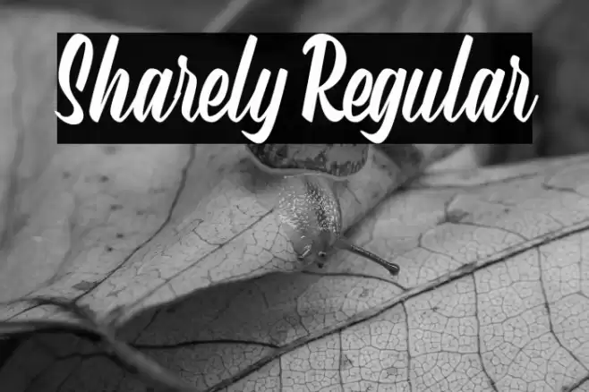 Sharely Regular Font examples