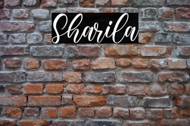 Sharila Example 1