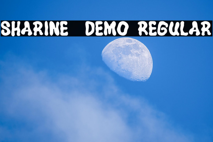 Sharine - DEMO Regular Example 1