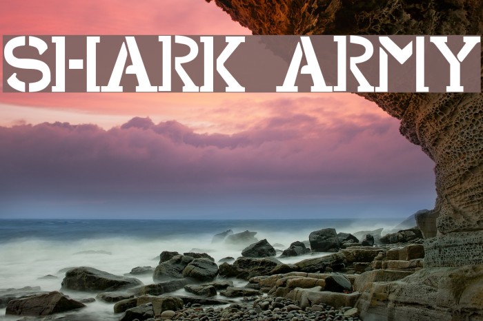 Shark Army Font examples