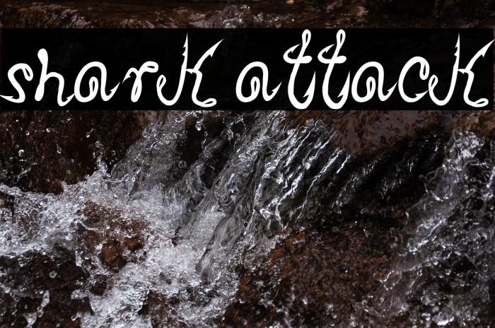 Shark Attack Example 1