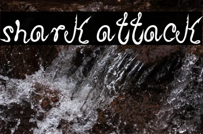 Shark Attack Example 1