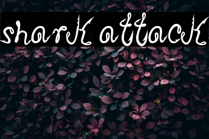 Shark Attack Example 2