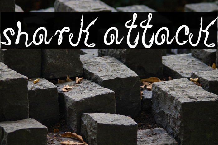 Shark Attack Example 3