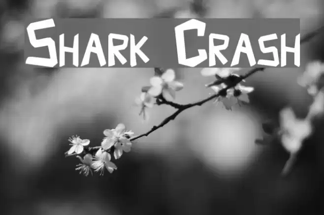 Shark Crash Font examples