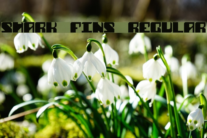 Shark Fins Regular Font examples