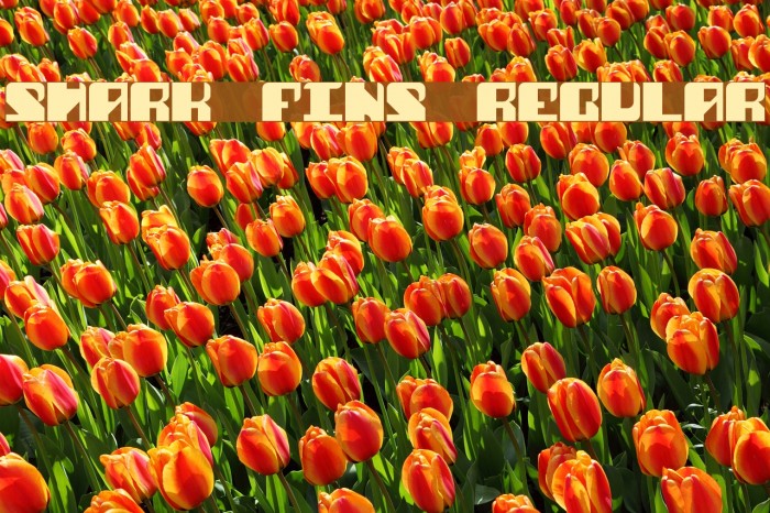 Shark Fins Regular Font examples
