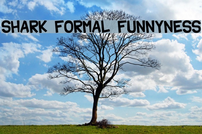 Shark Formal Funnyness Font examples
