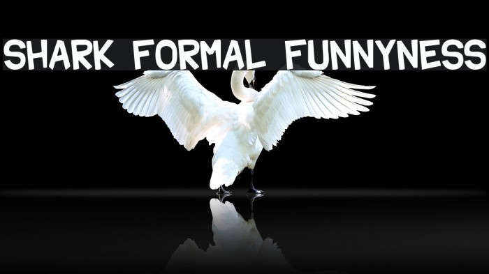 Shark Formal Funnyness Font examples