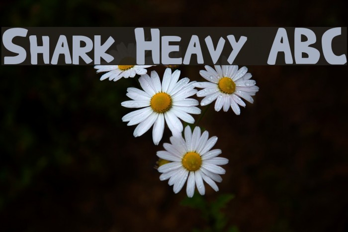 Shark Heavy ABC Font examples