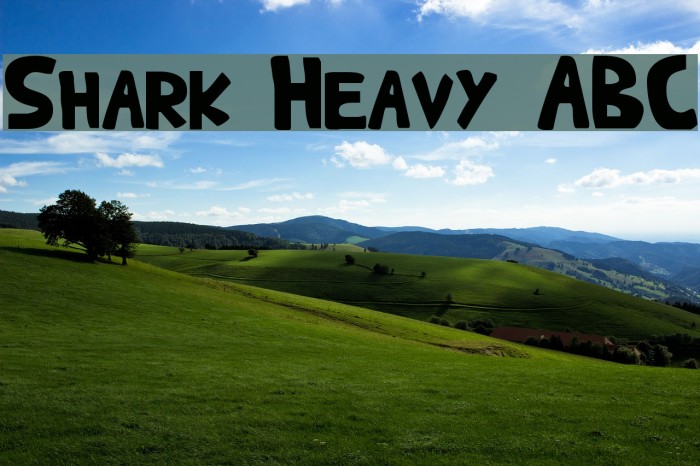 Shark Heavy ABC Font examples