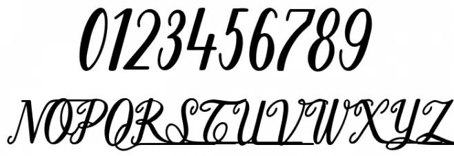 Shark Ready Font OTHER CHARS