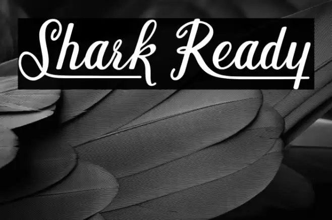 Shark Ready Font examples