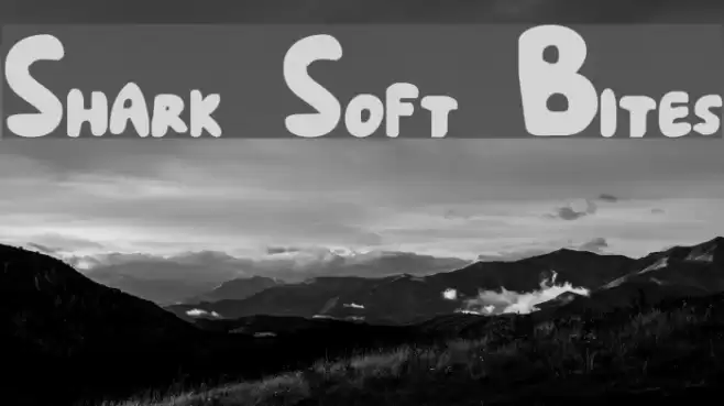 Shark Soft Bites Polices examples