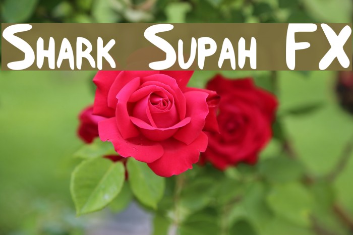 Shark Supah FX Font examples