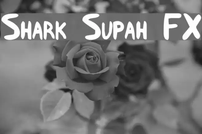 Shark Supah FX Fonte examples