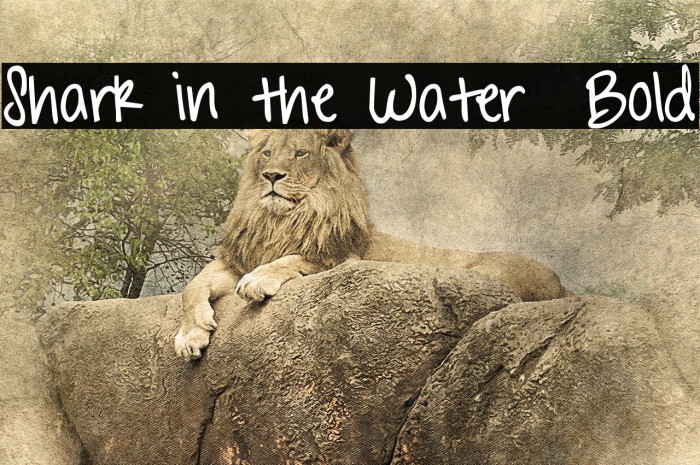 Shark in the Water Bold Font examples