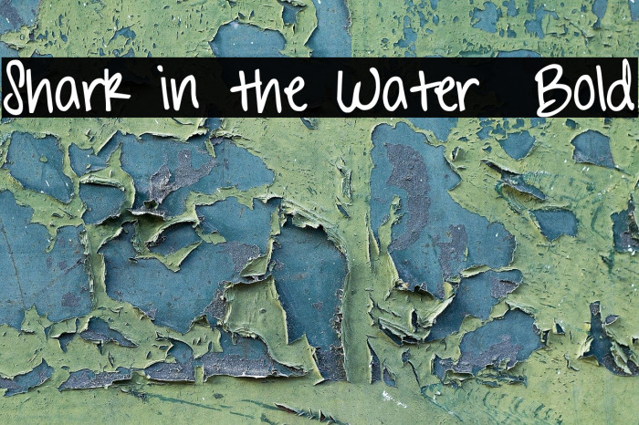 Shark in the Water Bold Font examples