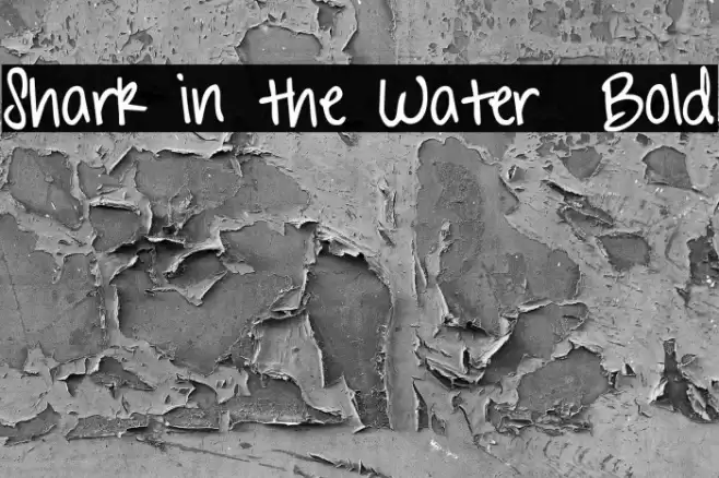 Shark in the Water Bold Fonte examples