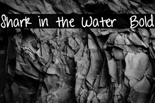 Shark in the Water Bold Fonte examples