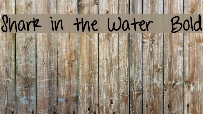 Shark in the Water Bold Font examples