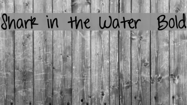 Shark in the Water  Bold Font examples