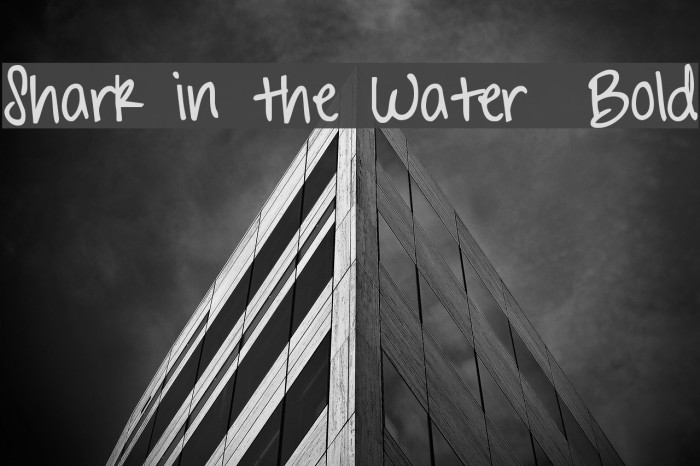 Shark in the Water Bold Font examples