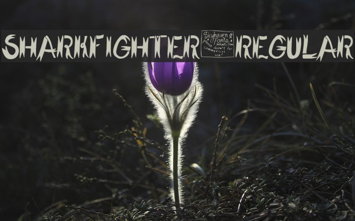 SharkFighter-Regular Font examples