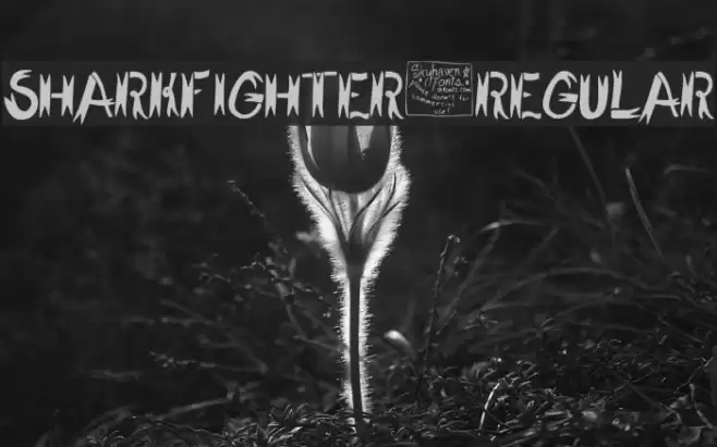 SharkFighter-Regular Шрифта examples