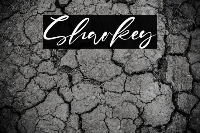 Sharkey Example 1
