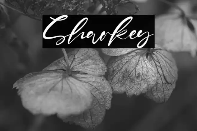 Sharkey Font examples