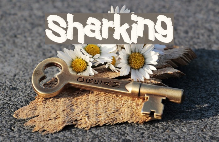 Sharking Font examples
