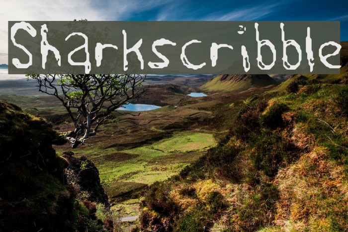 Sharkscribble Font examples