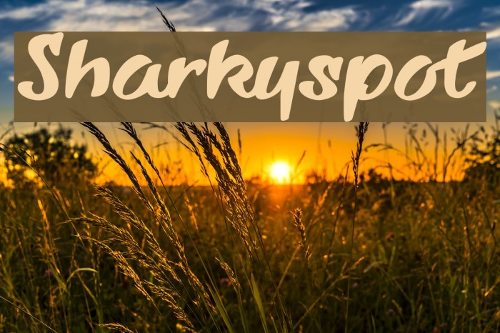 Sharkyspot Font examples